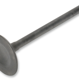Exhaust Valve
