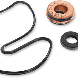 Water Pump Repair Kit - Polaris