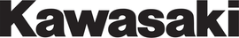 Die-Cut Decal - 3' - Kawasaki 09