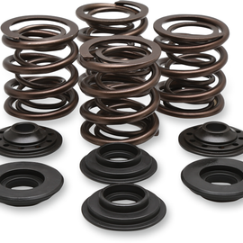 Valve Spring Kit - Big Twin08525