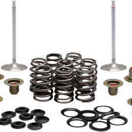 Complete Valve Kit - M8