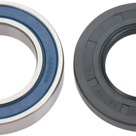 Wheel Bearing Kit - Rear