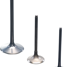 Exhaust Valve
