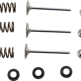 Intake Valve Kit