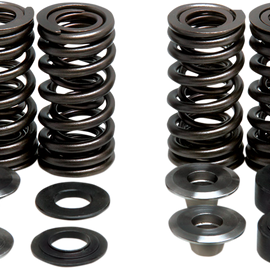 Valve Spring Kit