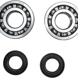 Crank Bearing and Seal Kit