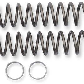 Fork Springs - 0.42 kg/mm