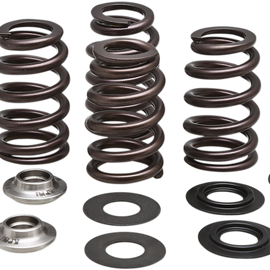 Beehive Valve Spring Kit