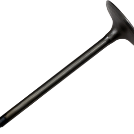 Intake Valve