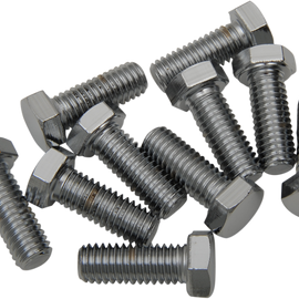 3/8"-16 X 1" Chrome Hex Head