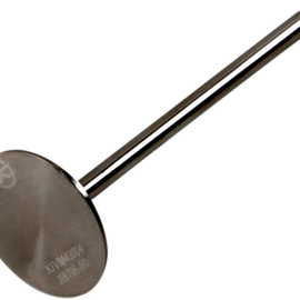 Intake Valve