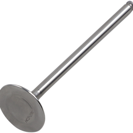 Exhaust Valve