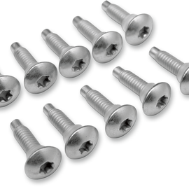 Screw Electric Fuel Injection Mount 10-Pack