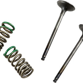 Valve and Spring Kit