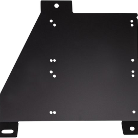 Dual Amplifier Mount - 14-19 RZR