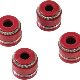 Valve Seal Kit