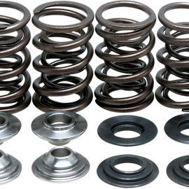 Valve Spring Kit